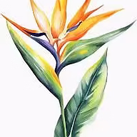 Sam the Flower Man logo