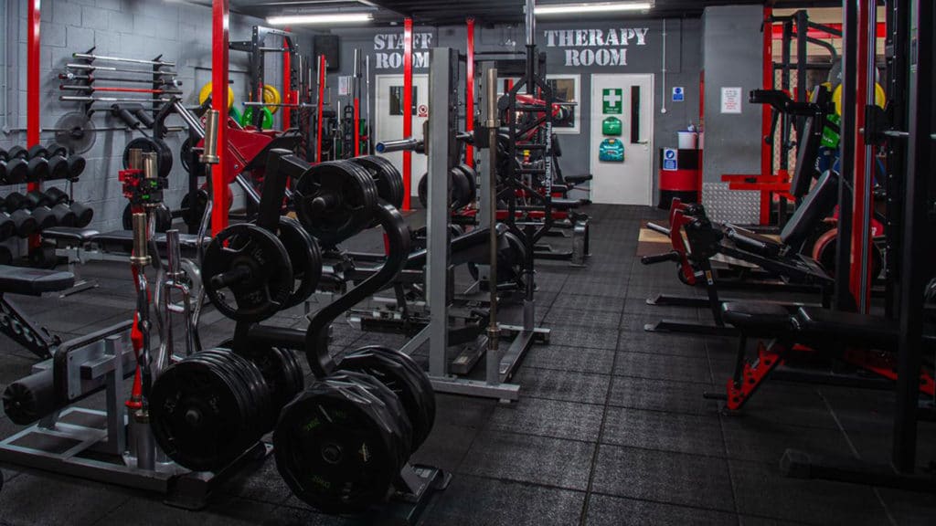 B3 Fitness business image