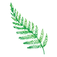 Nothing but Footprints logo