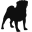 The Black Pug logo