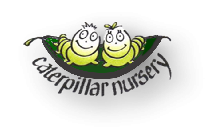 Caterpillar Nursery business image