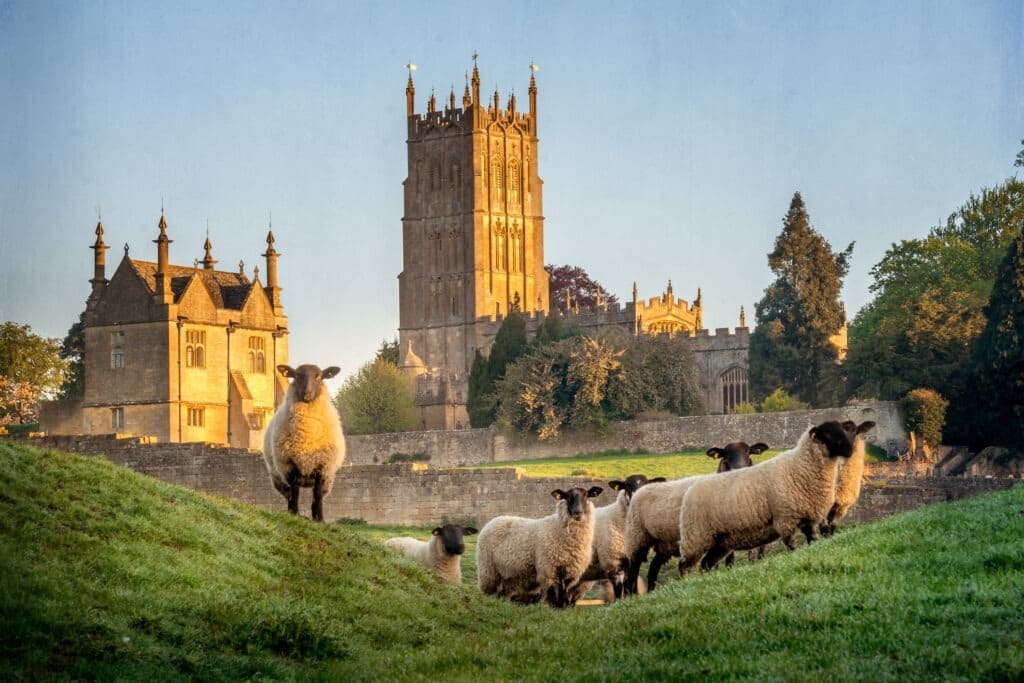 Cotswold House Hotel & Spa business image