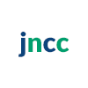 Just Nice Clean Cars logo